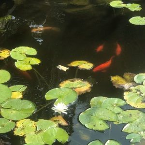 Meet your Posher, Nevaeh